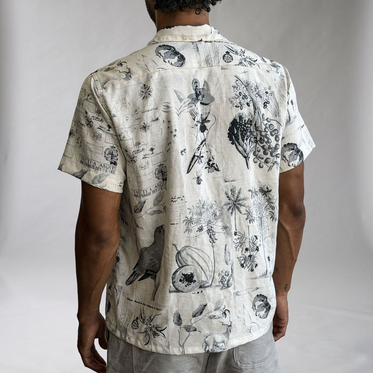 Riviera Ivory Parrots Poplin Short Sleeve Shirt