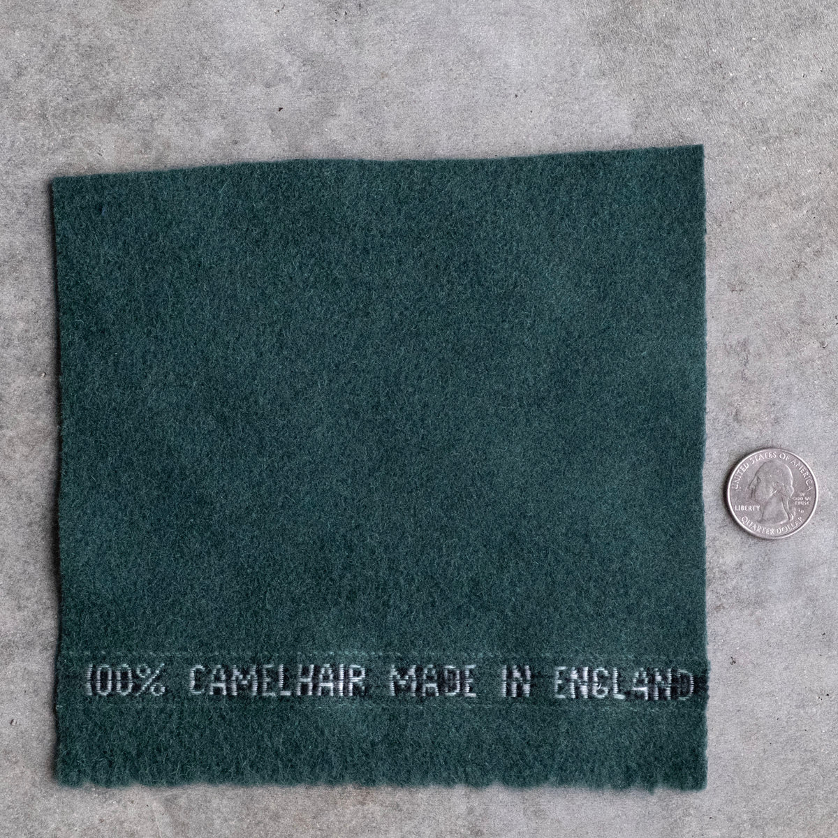 CM Green Camel Hair In Studio